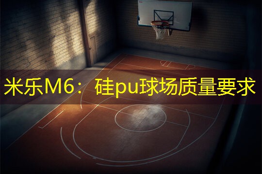 米乐M6：硅pu球场质量要求