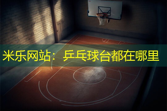 米乐网站：乒乓球台都在哪里