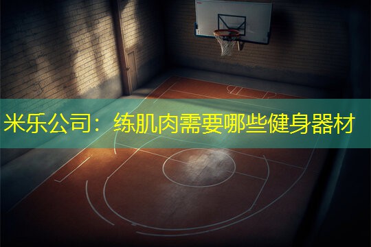 米乐公司：练肌肉需要哪些健身器材