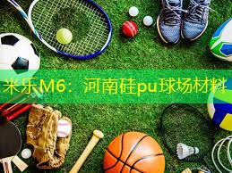 米乐M6：河南硅pu球场材料