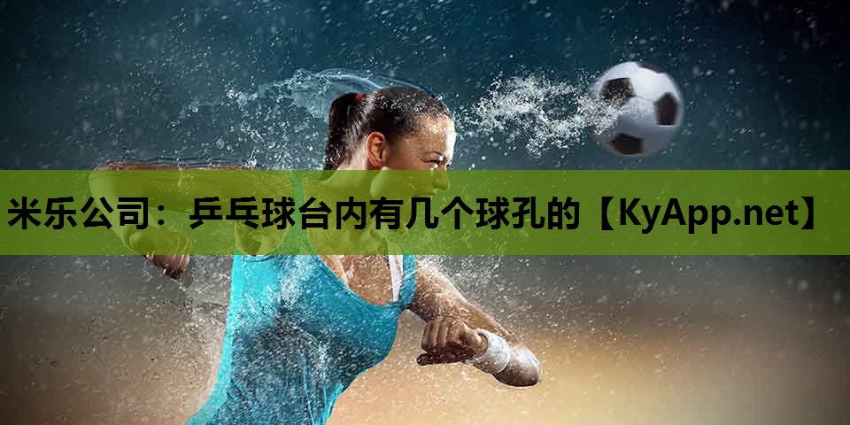 米乐公司：乒乓球台内有几个球孔的