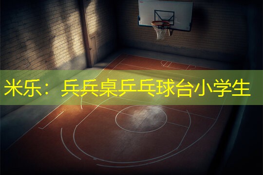 兵兵桌乒乓球台小学生